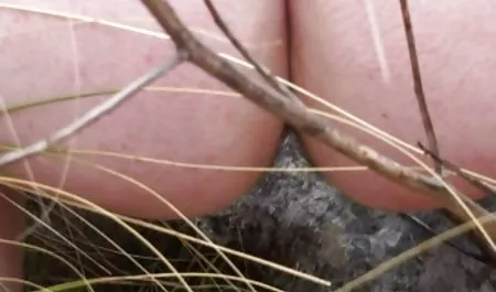 الرجل مارس الجنس من الصعب افلام محارم خليجي الشباب الفرخ