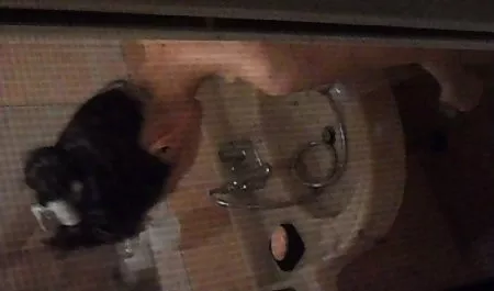 الشباب مثير السحاقيات بلطف تبا بعقب دسار افلام سكس اخوات مترجم عربي