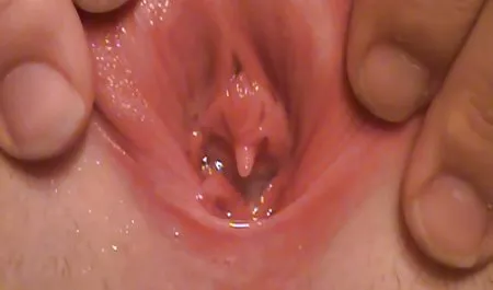 شابة شقراء السمور بالإصبع سكس عربي محارم خليجي كس في بستاني اللعين له