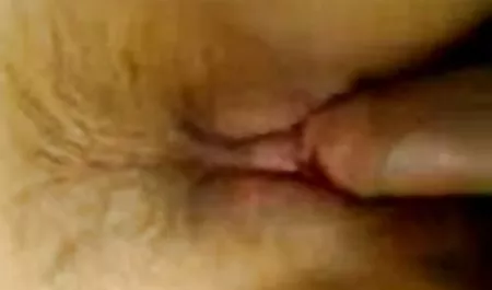 عشبة رجل افلام سكس اخوات مترجم عربي تمارس الجنس فاتنة نحيل وينتهي في بوسها