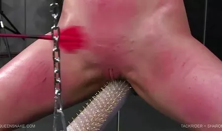 ليس صغيرا جدا, ولكن لا يزال مرادفا جميلة سمراء يقضي ساعات افلام سكس محارم عربى ممتعة في أحضان الساخن عشيقها السري ، بعد أن نجح لفترة قصيرة على ضخ الدهون له ديك من القلب