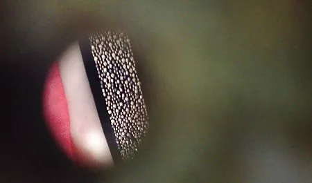 رجل رأى العاهرة عناق افلام سكس محارم كامله مترجمه لها كس و بدأ يمارس الجنس معها